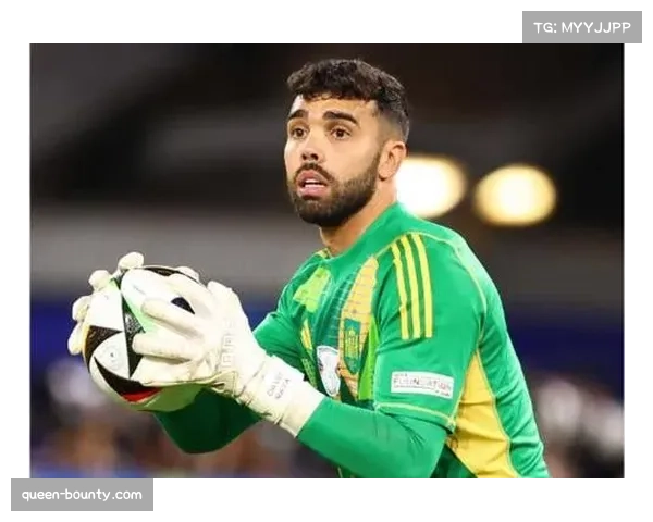 阿森纳门将拉亚完成本赛季第20次零封，成五大联赛首位达成此成就门将